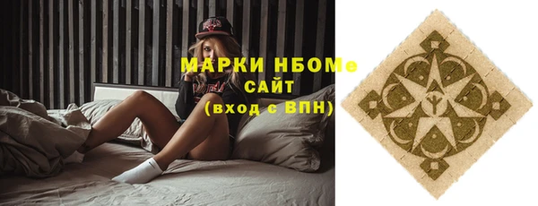 шишки Аркадак