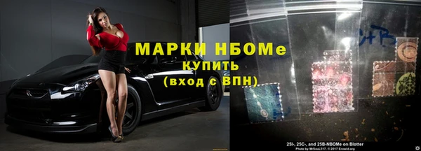 шишки Аркадак