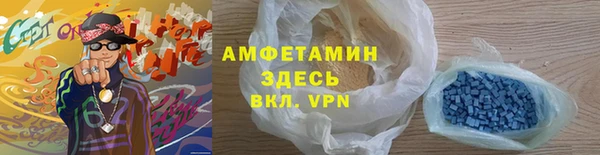 шишки Аркадак