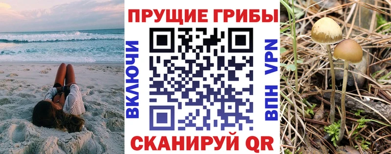 купить наркотик  Аша  Галлюциногенные грибы Magic Shrooms 